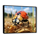 Curious ladybug meadows - Ladybug Canvas Wall Art