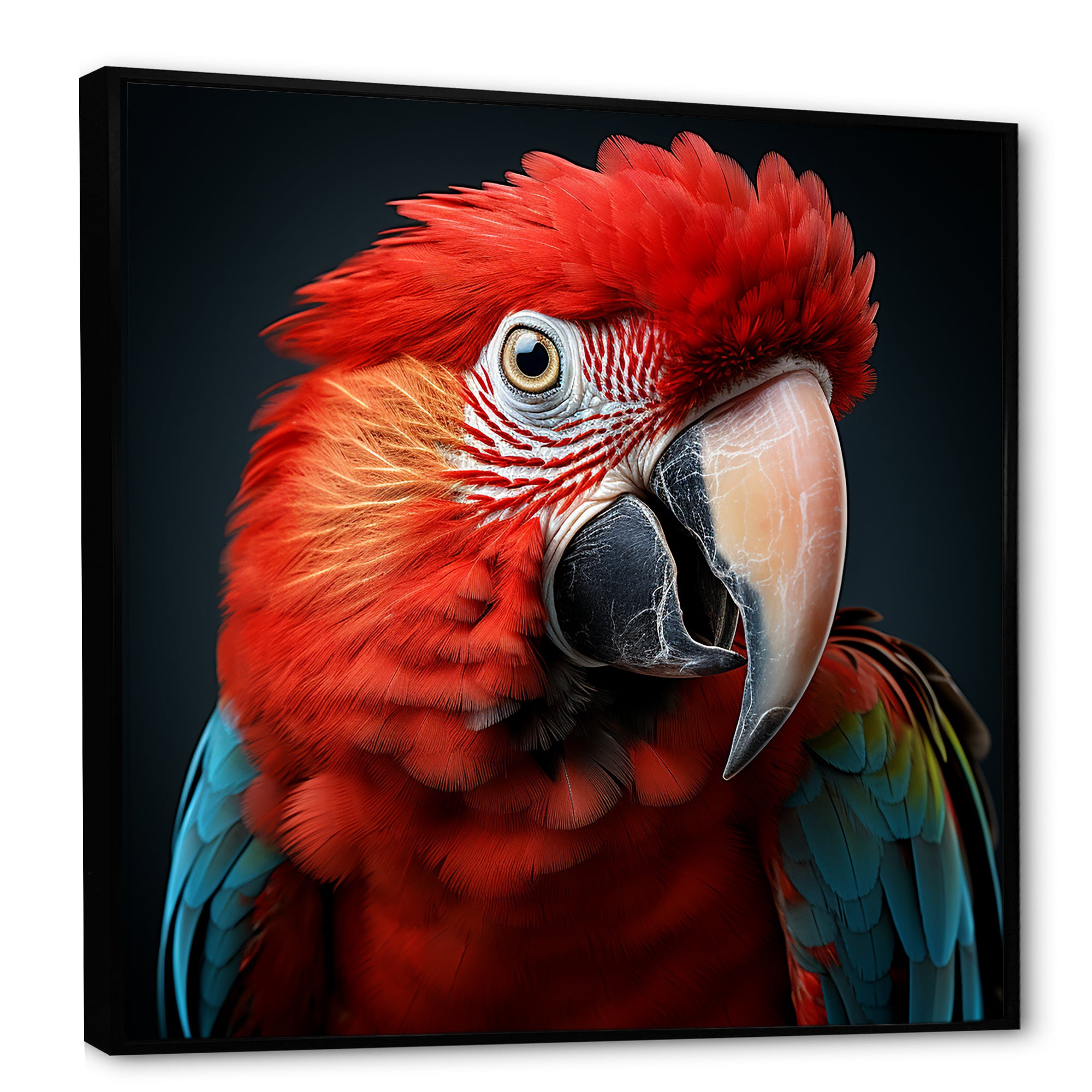 Red Parrot portrait photo - Parrot Wall Art Prints