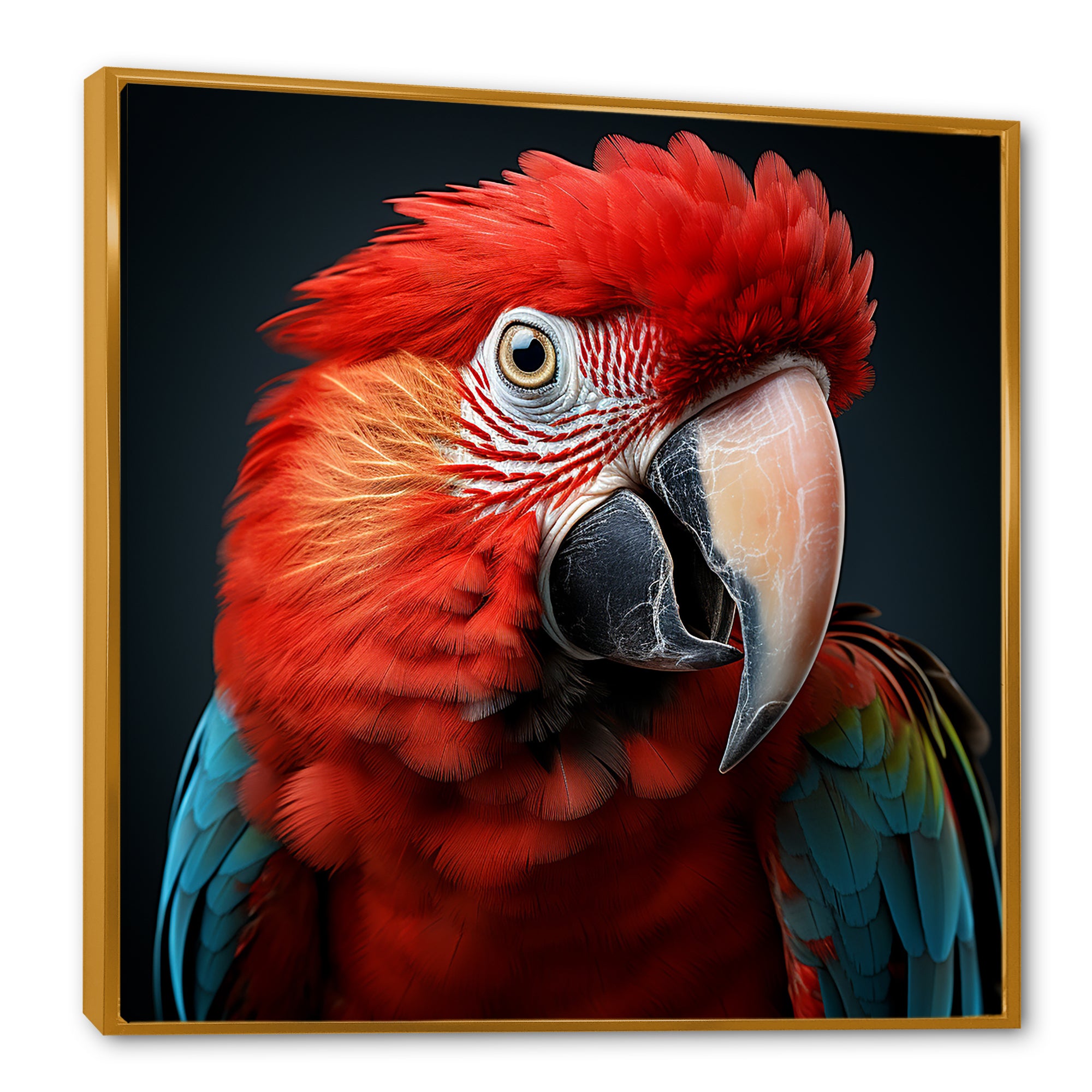 Red Parrot portrait photo - Parrot Wall Art Prints