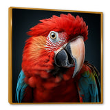 Red Parrot portrait photo - Parrot Wall Art Prints