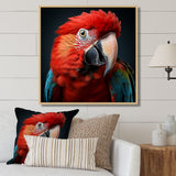 Red Parrot portrait photo - Parrot Wall Art Prints
