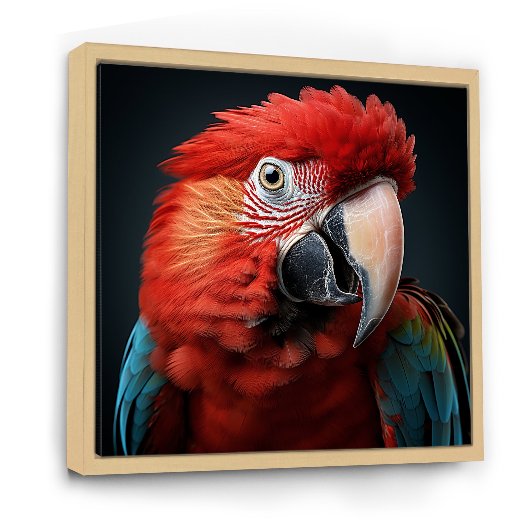 Red Parrot portrait photo - Parrot Wall Art Prints