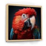 Red Parrot portrait photo - Parrot Wall Art Prints