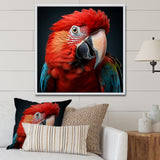 Red Parrot portrait photo - Parrot Wall Art Prints