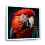 Red Parrot portrait photo - Parrot Wall Art Prints
