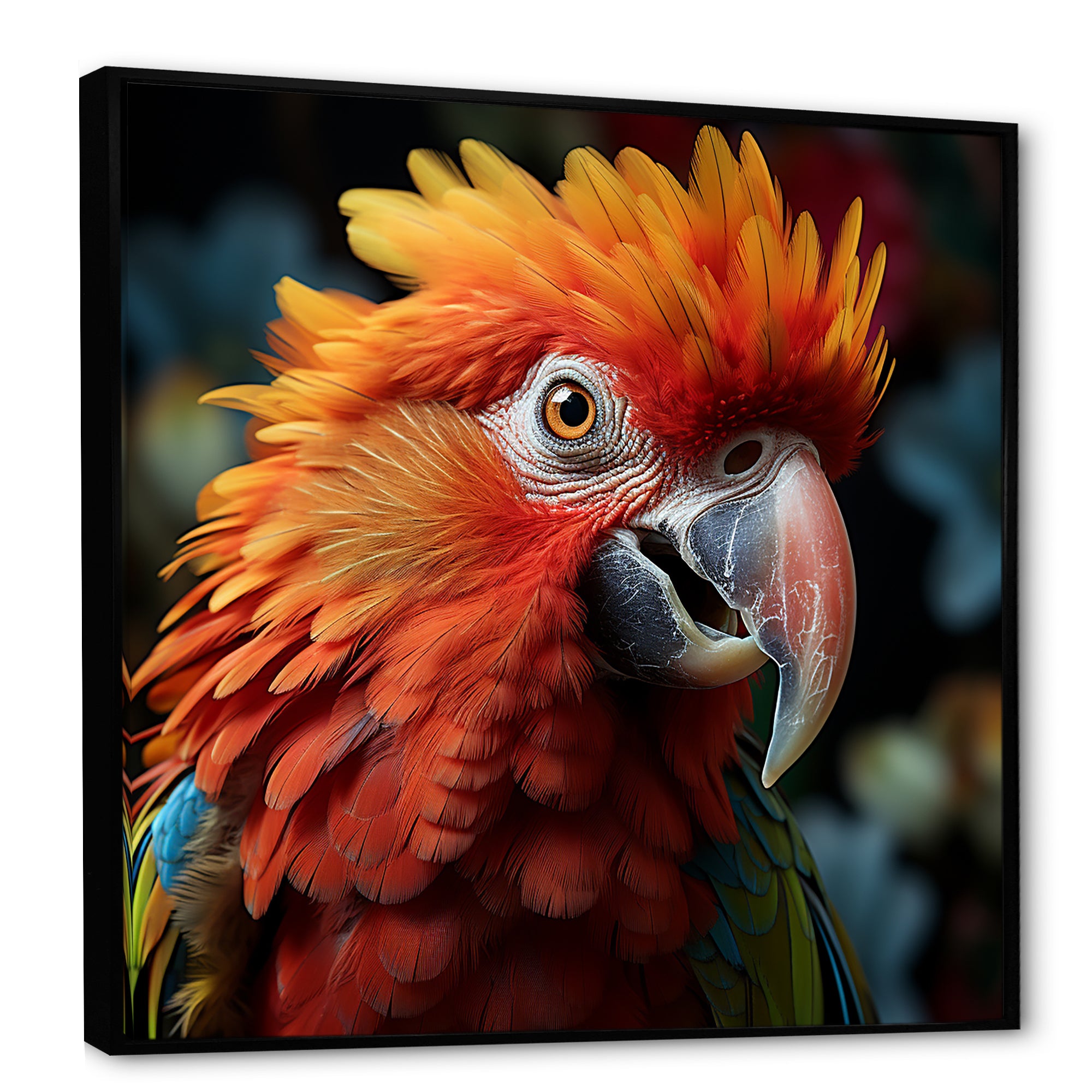 Orange Parrot portrait photo - Parrot Wall Art Prints