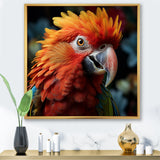 Orange Parrot portrait photo - Parrot Wall Art Prints