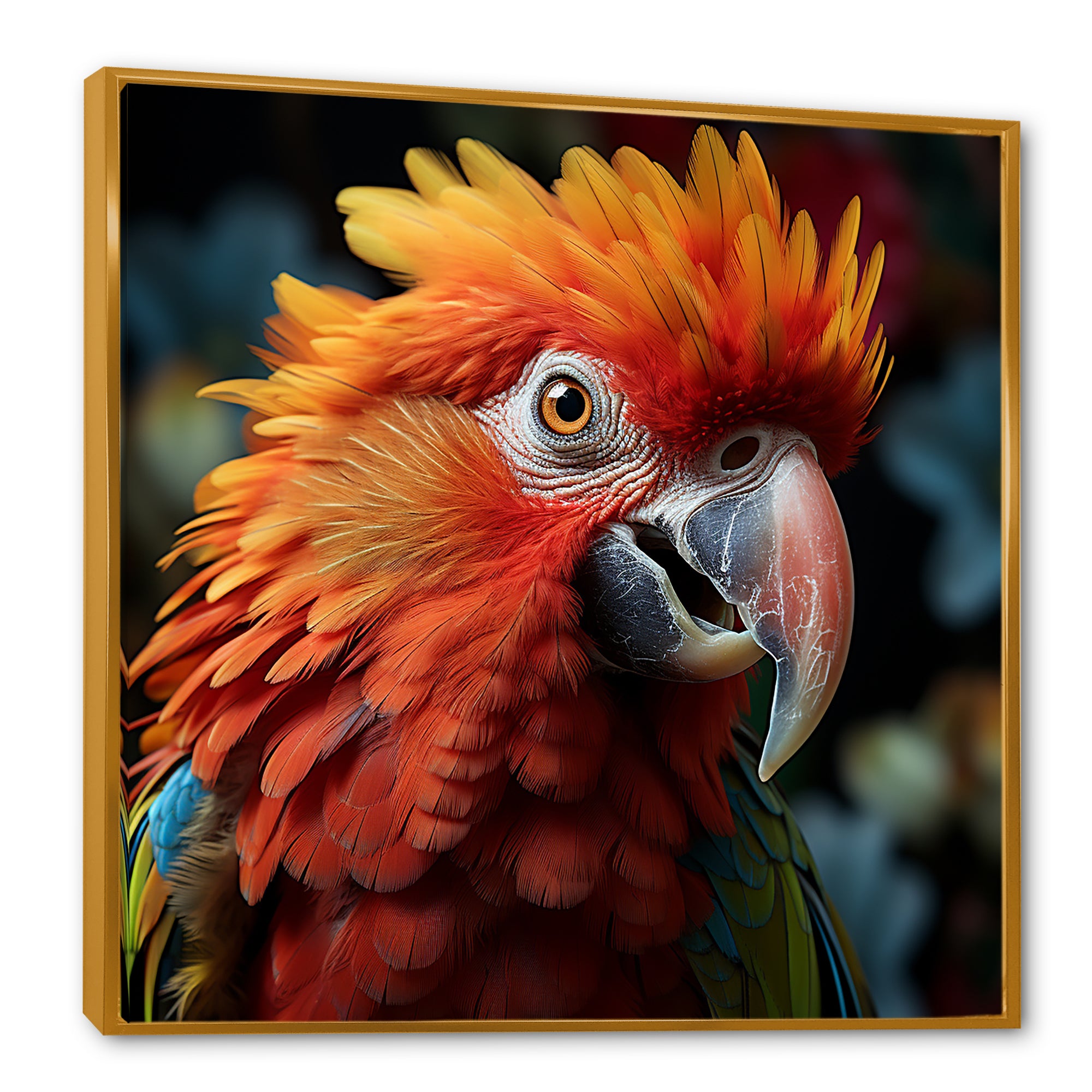 Orange Parrot portrait photo - Parrot Wall Art Prints