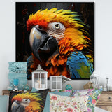 Yellow and blue Parrot portrait photo - Yellow Parrot Wall Art