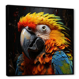 Yellow and blue Parrot portrait photo - Yellow Parrot Wall Art