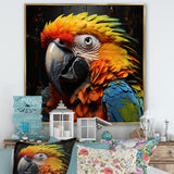 Yellow and blue Parrot portrait photo - Yellow Parrot Wall Art