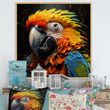 Yellow and blue Parrot portrait photo - Yellow Parrot Wall Art