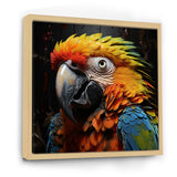 Yellow and blue Parrot portrait photo - Yellow Parrot Wall Art
