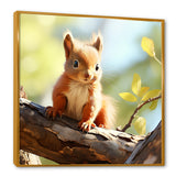 Forest cute Squirrel - Squirrel Large Canvas Wall Art