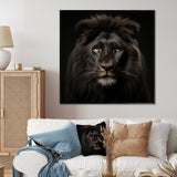Midnight black lion - Lion Canvas Wall Art