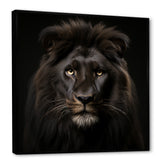 Midnight black lion - Lion Canvas Wall Art