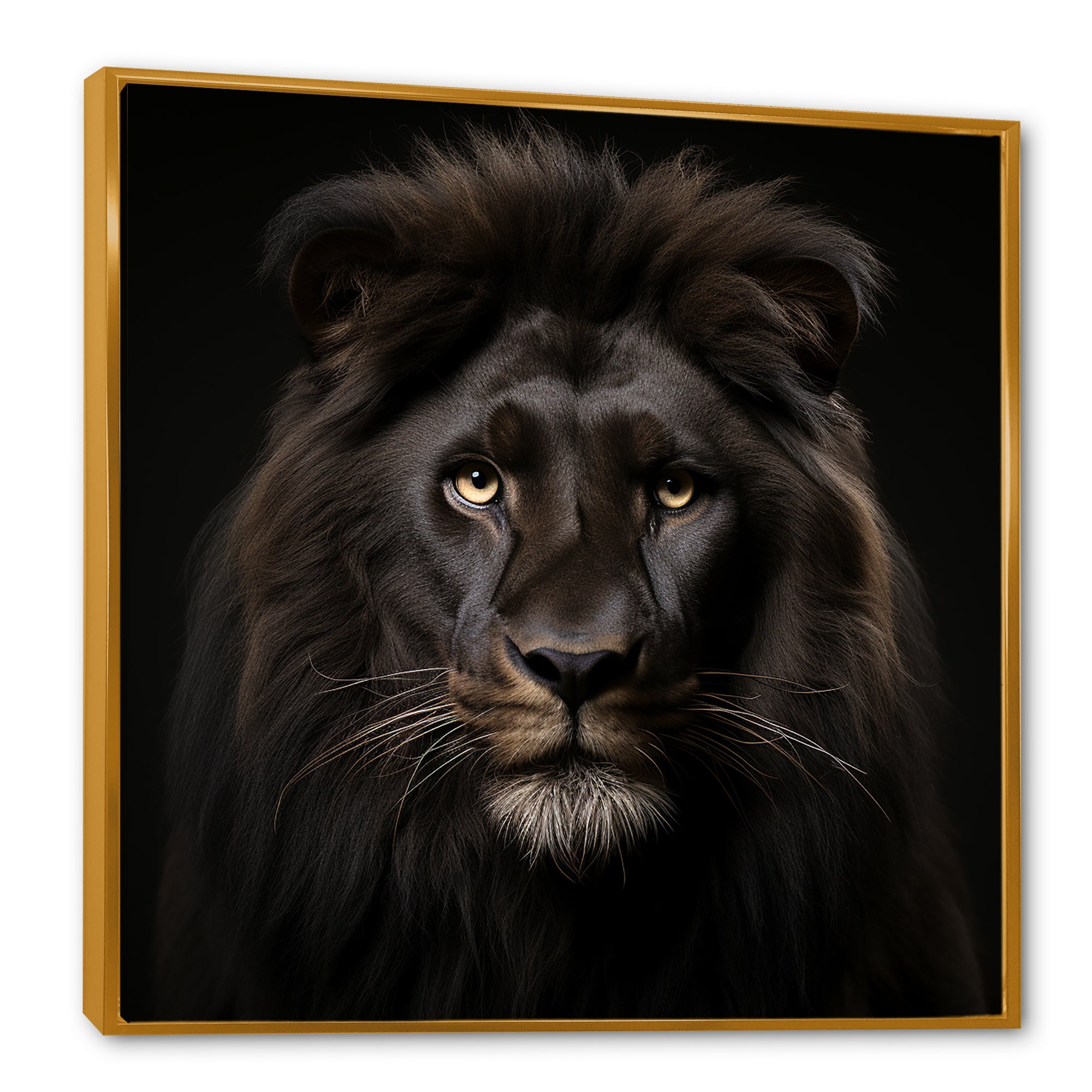 Midnight black lion - Lion Canvas Wall Art