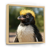 Penguin photo portrait - Black Penguin Wall Art
