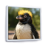 Penguin photo portrait - Black Penguin Wall Art