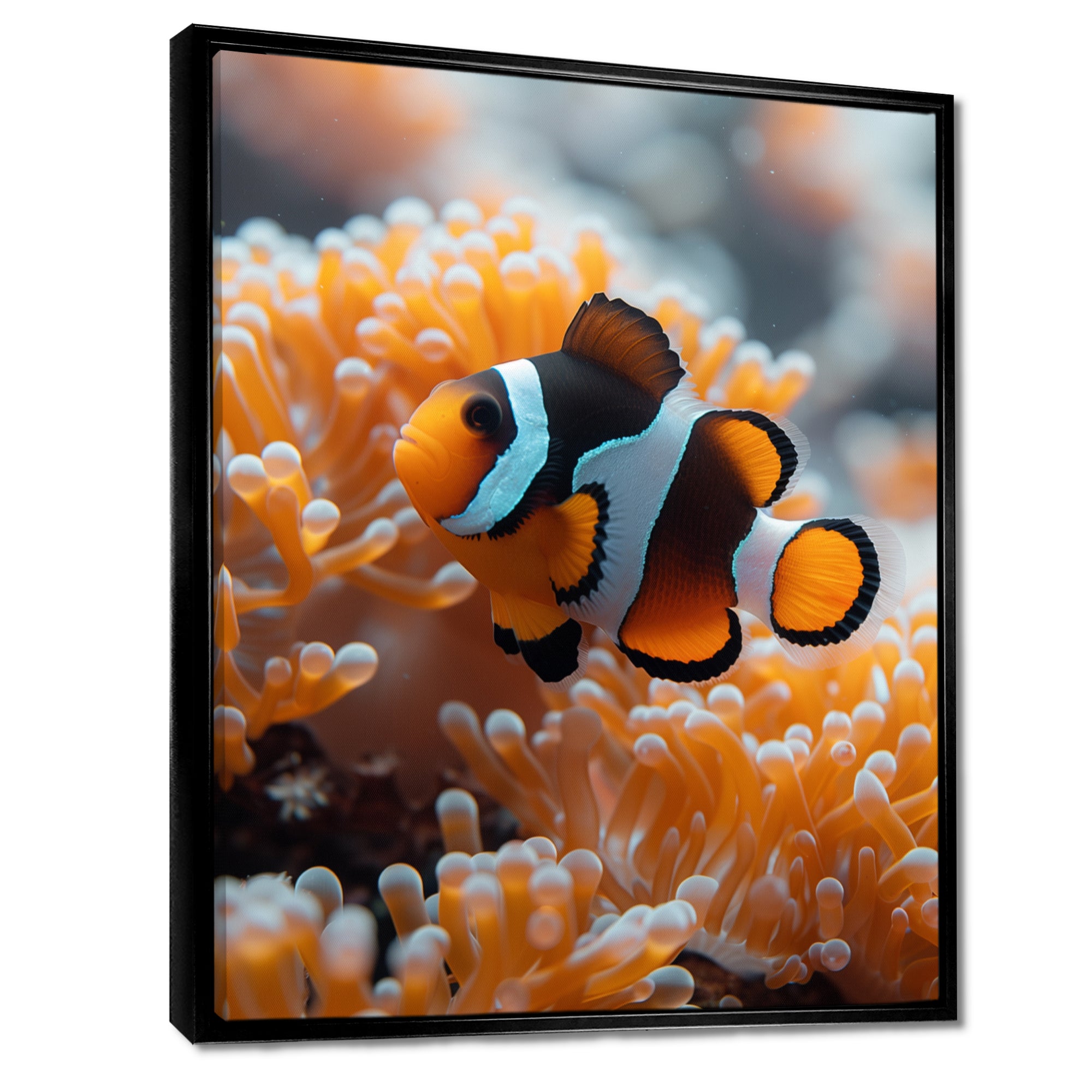 Orange white coral clown fish Marvel - Coral Bedroom Wall Art