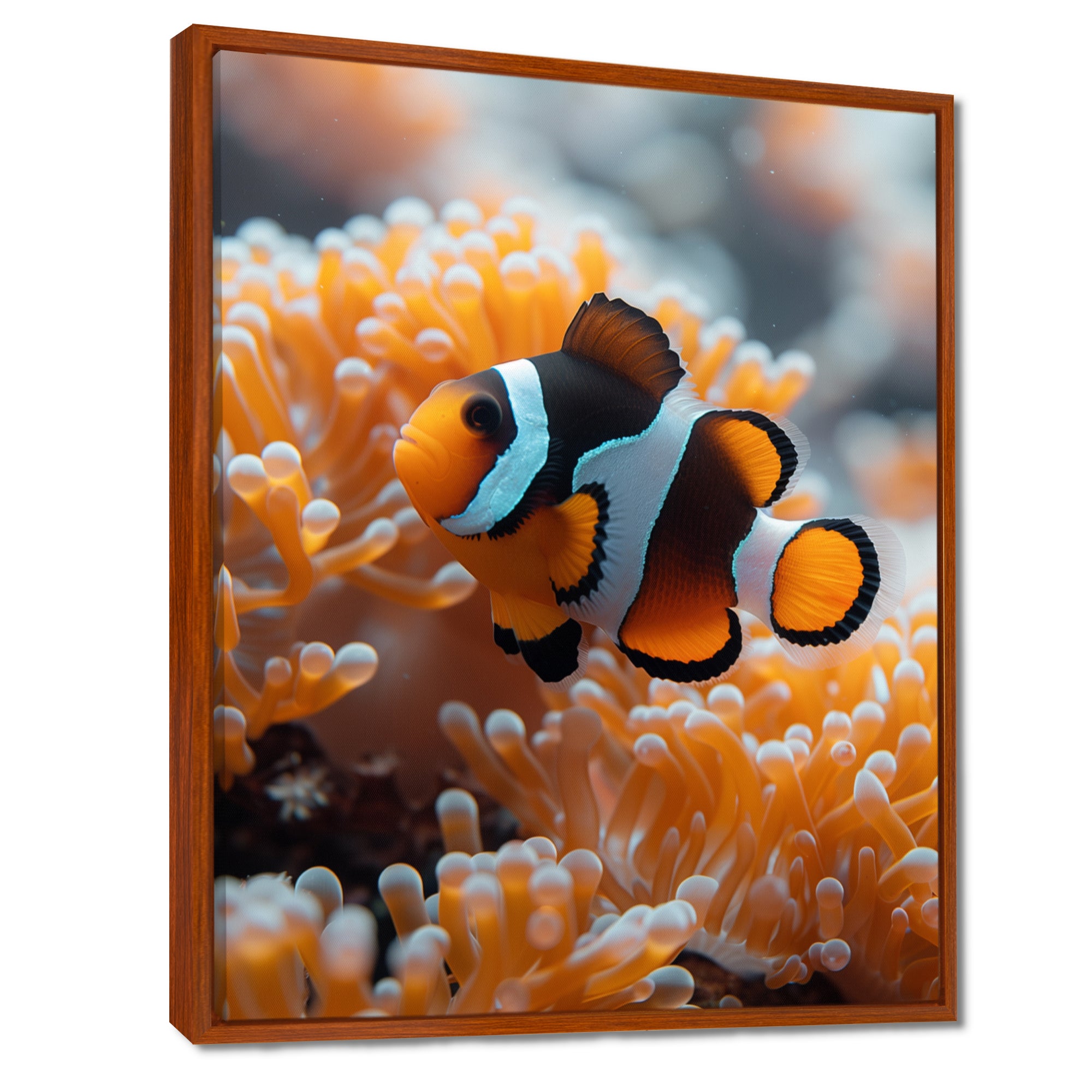 Orange white coral clown fish Marvel - Coral Bedroom Wall Art