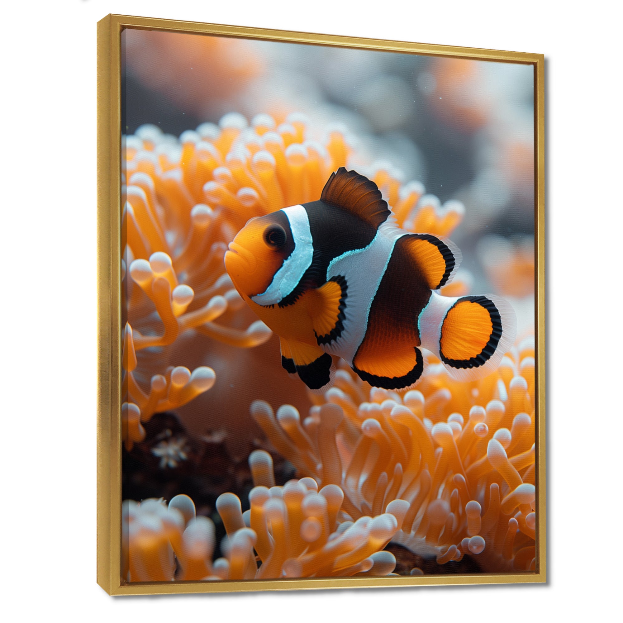 Orange white coral clown fish Marvel - Coral Bedroom Wall Art