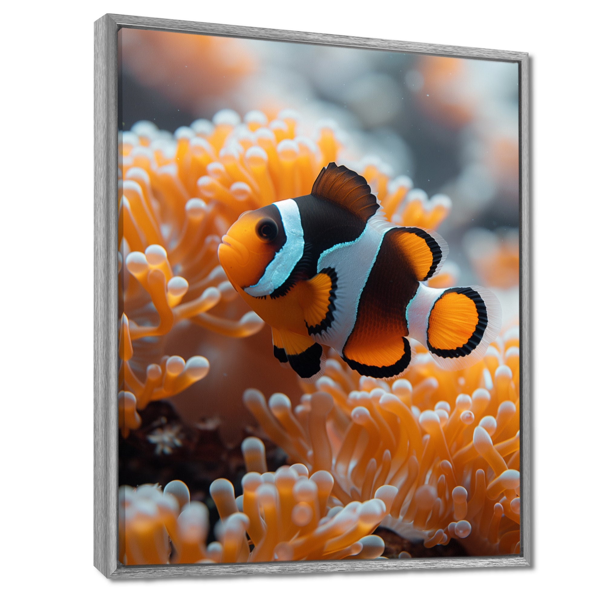 Orange white coral clown fish Marvel - Coral Bedroom Wall Art