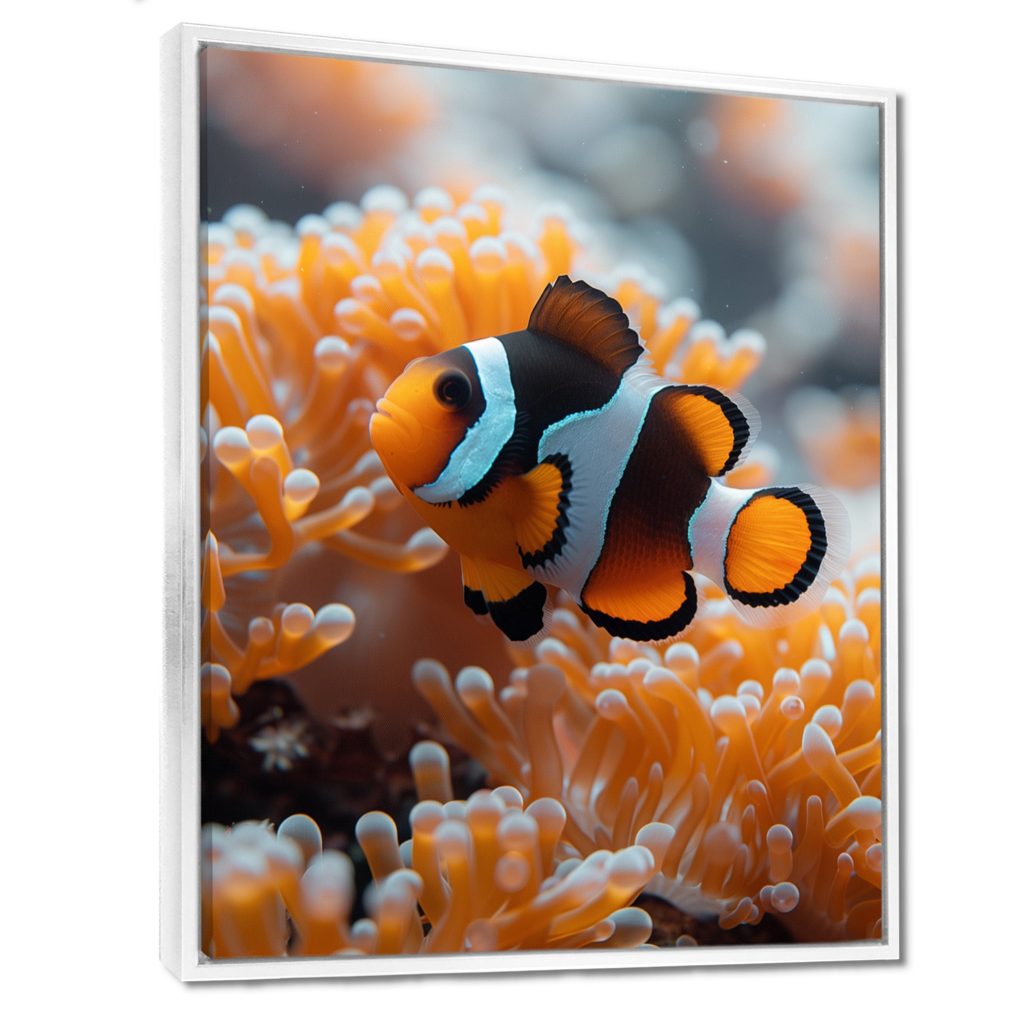 Orange white coral clown fish Marvel - Coral Bedroom Wall Art