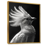 Monochrome white black graceful Bird - Bird Wall Decor