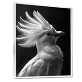 Monochrome white black graceful Bird - Bird Wall Decor
