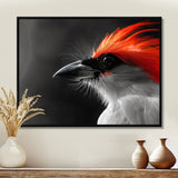 Red black Whispers Bird of Paradise - Bird Bedroom Wall Art