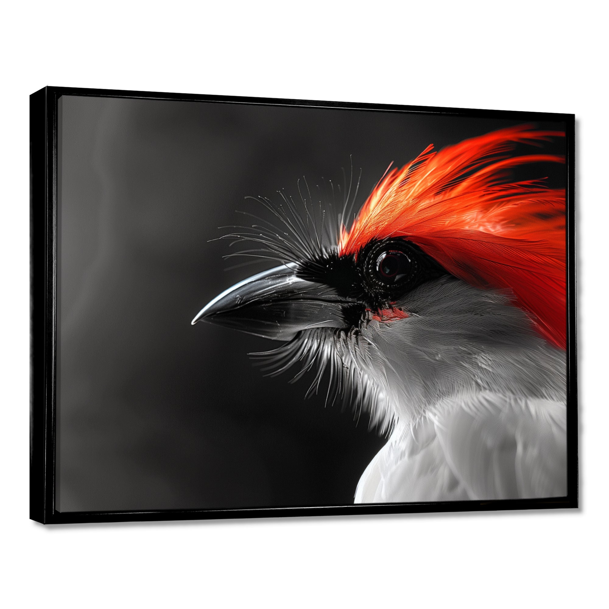 Red black Whispers Bird of Paradise - Bird Bedroom Wall Art