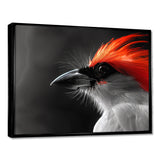 Red black Whispers Bird of Paradise - Bird Bedroom Wall Art