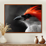 Red black Whispers Bird of Paradise - Bird Bedroom Wall Art