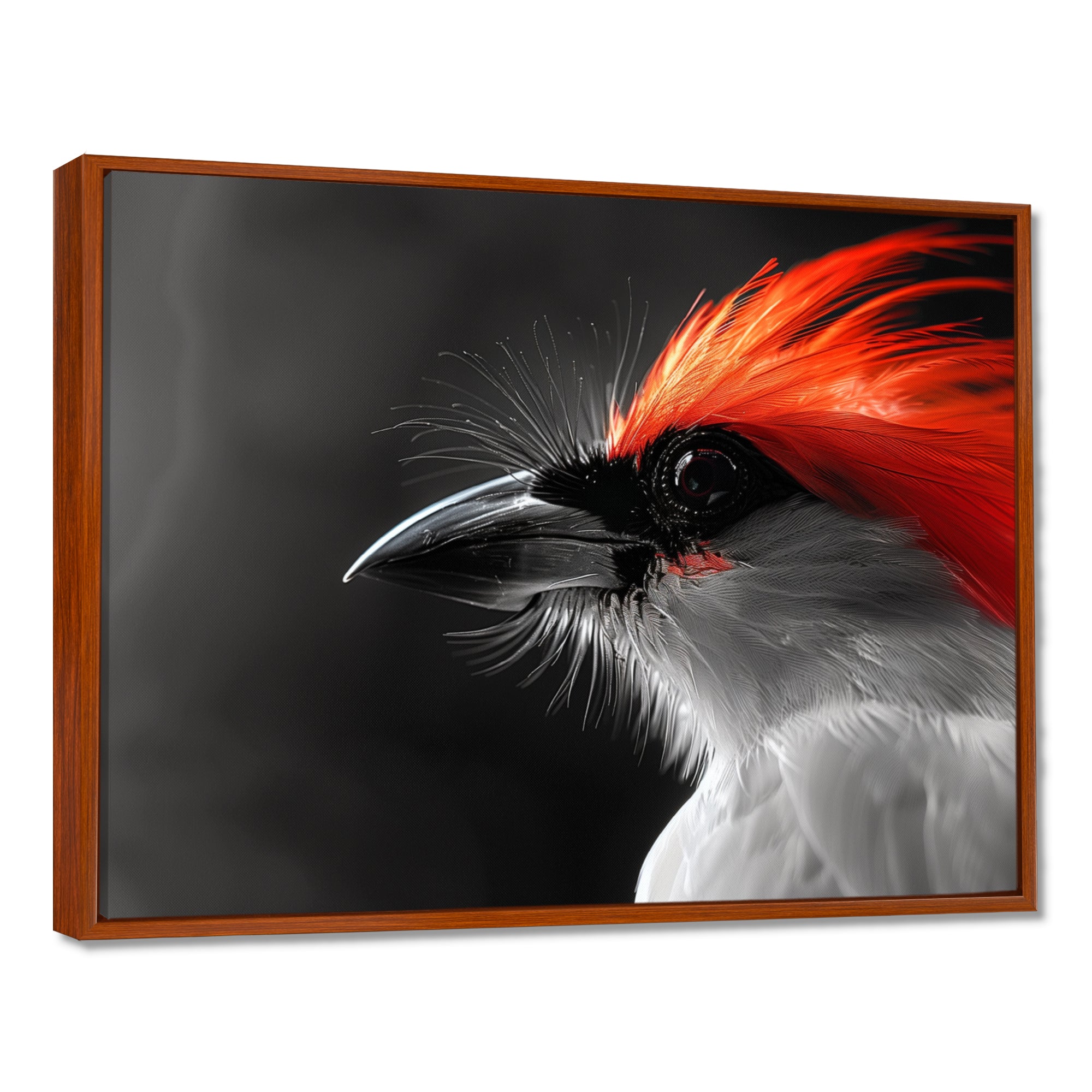 Red black Whispers Bird of Paradise - Bird Bedroom Wall Art