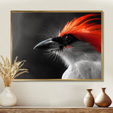 Red black Whispers Bird of Paradise - Bird Bedroom Wall Art