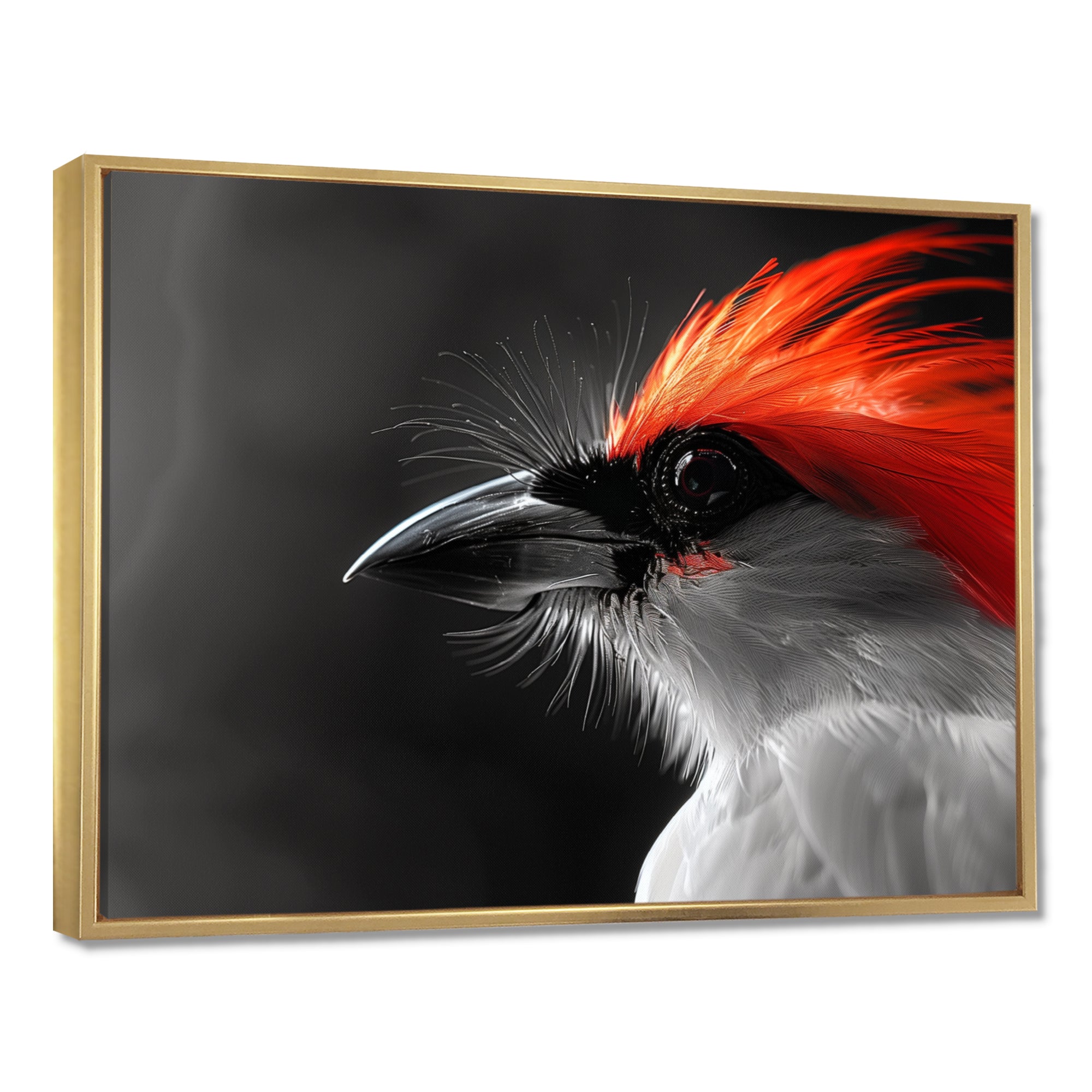 Red black Whispers Bird of Paradise - Bird Bedroom Wall Art
