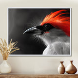 Red black Whispers Bird of Paradise - Bird Bedroom Wall Art