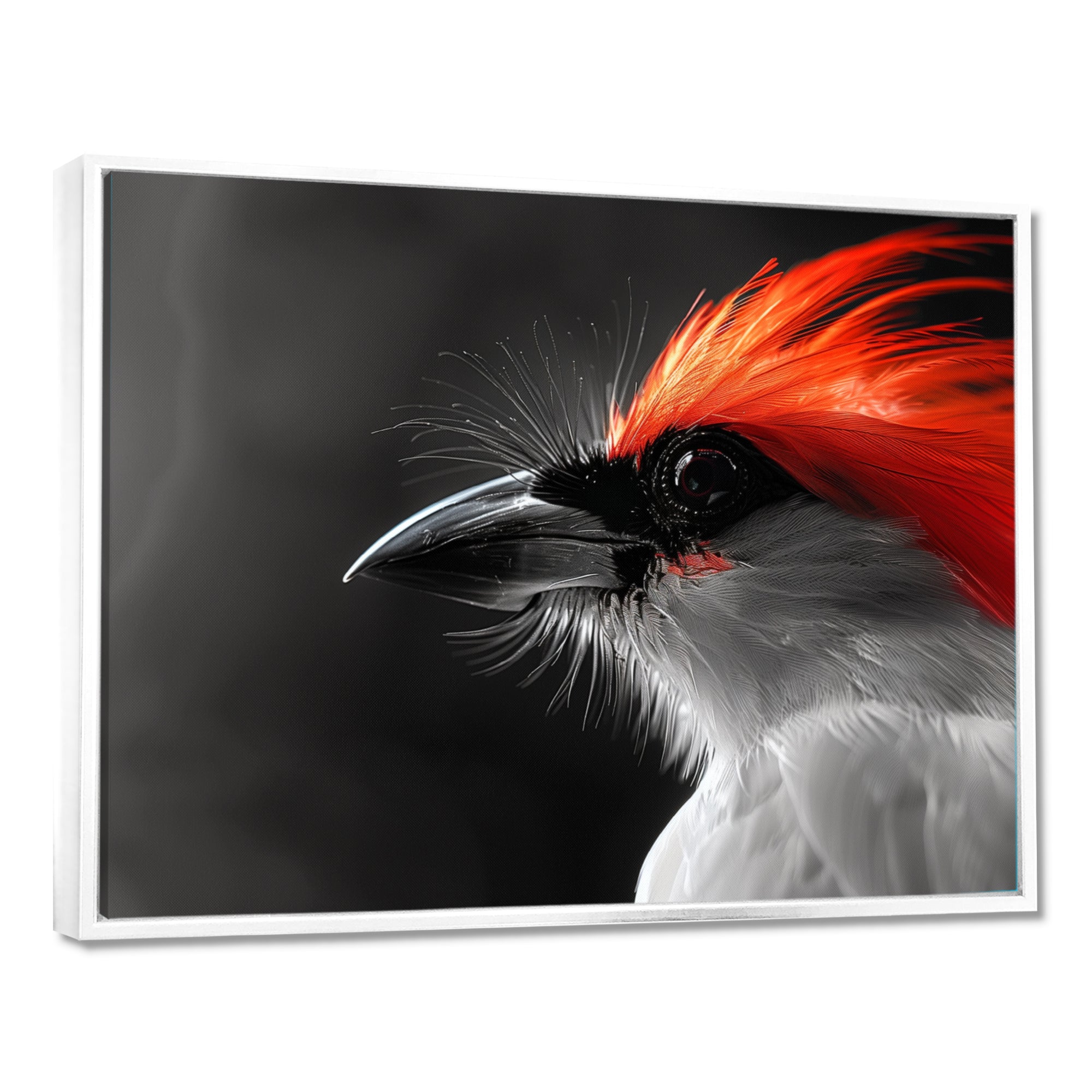 Red black Whispers Bird of Paradise - Bird Bedroom Wall Art