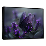 Purple black Butterfly beauty on flower - Butterfly Canvas Wall Art