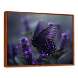 Purple black Butterfly beauty on flower - Butterfly Canvas Wall Art