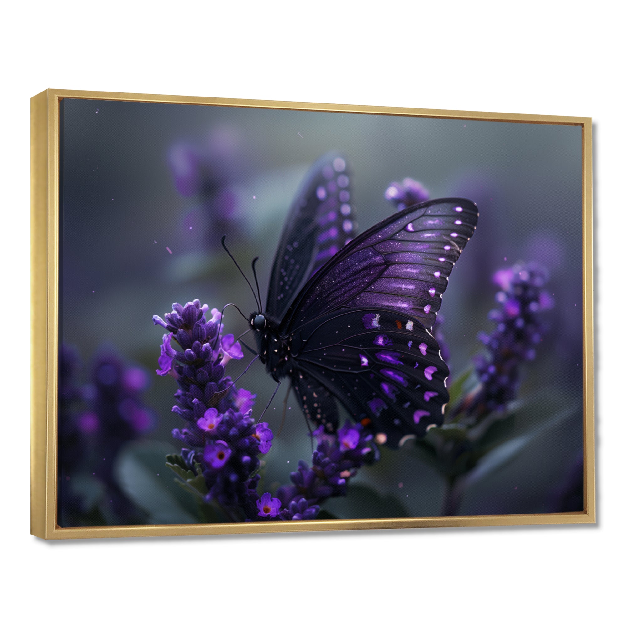 Purple black Butterfly beauty on flower - Butterfly Canvas Wall Art