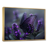 Purple black Butterfly beauty on flower - Butterfly Canvas Wall Art