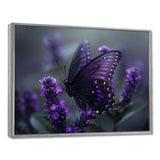 Purple black Butterfly beauty on flower - Butterfly Canvas Wall Art