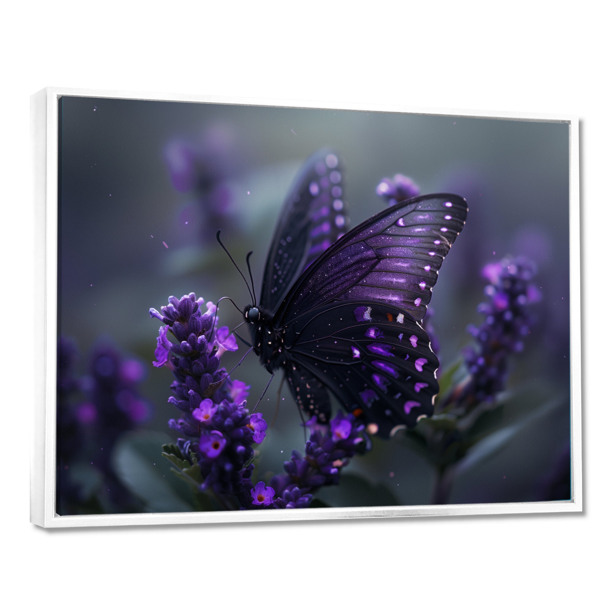 Purple black Butterfly beauty on flower - Butterfly Canvas Wall Art