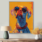 Orange red boxer dog with sunglasses - Dog Wall Decor