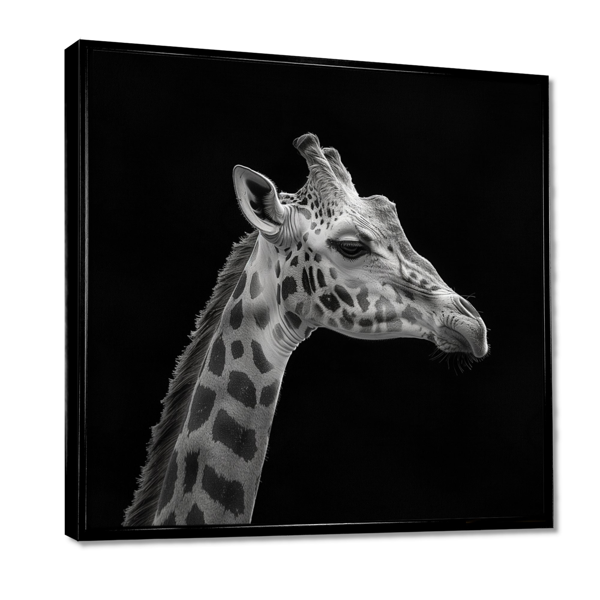 Giraffe profile on black - Gray Giraffe Wall Art