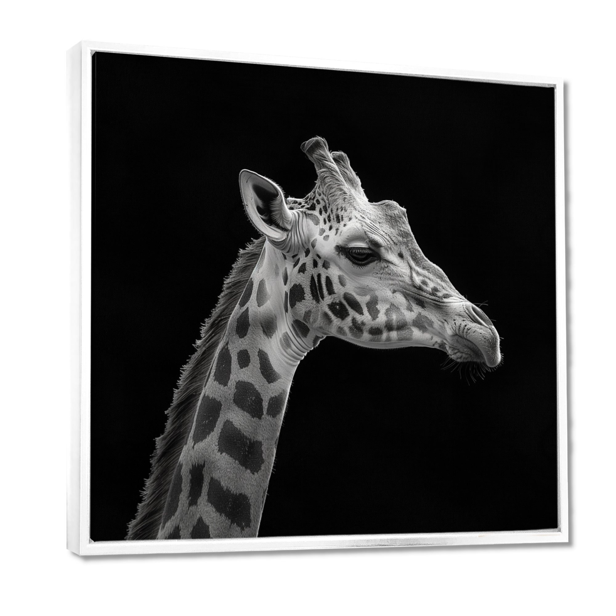 Giraffe profile on black - Gray Giraffe Wall Art