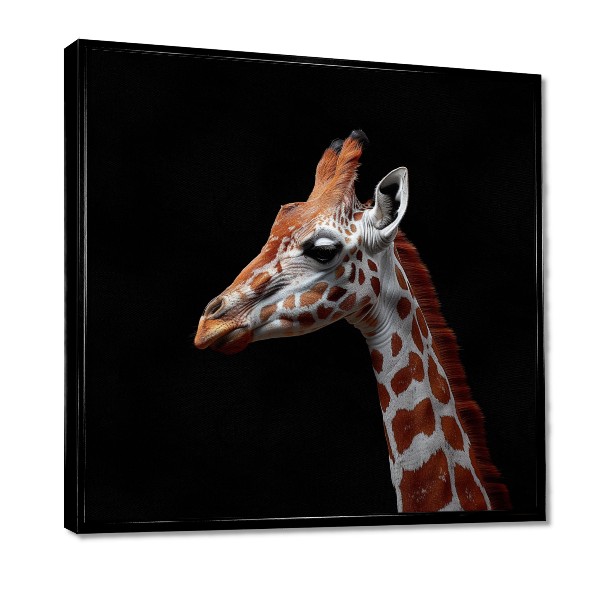 Brown giraffe profile on black - White Giraffe Wall Art