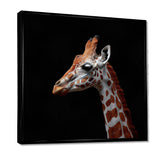 Brown giraffe profile on black - White Giraffe Wall Art